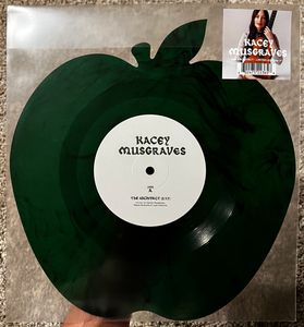 The Architect  cover