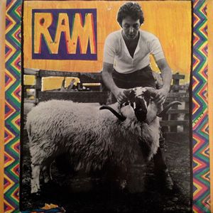 Ram cover