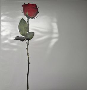 A Beautiful Lie by 30 Seconds To Mars