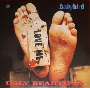 Ugly Beautiful cover