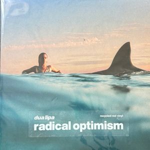 Radical Optimism cover