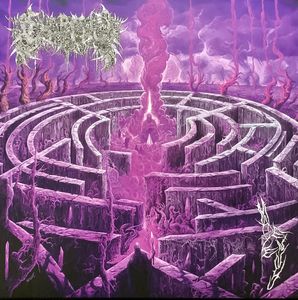 Maze Envy by Civerous