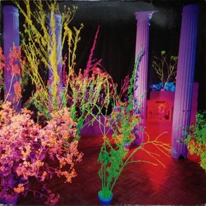 Warehouse: Songs And Stories cover