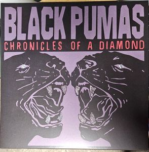 Black Pumas – Chronicles Of A Diamond