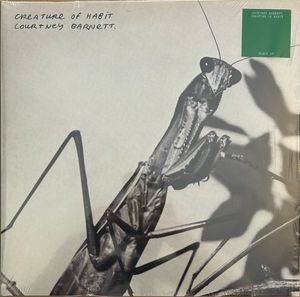 Courtney Barnett – Creature Of Habit