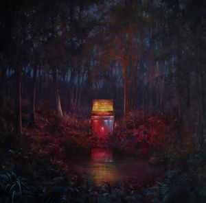 The Cosmic Selector Vol. 1 cover