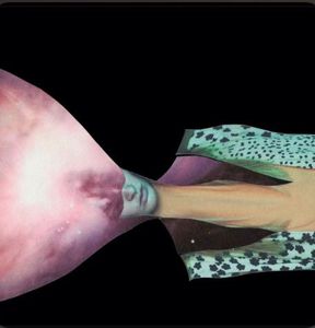 Painted Shield 2 cover