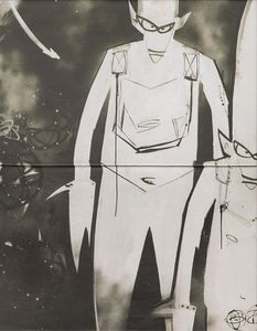 Never, Never, Land cover