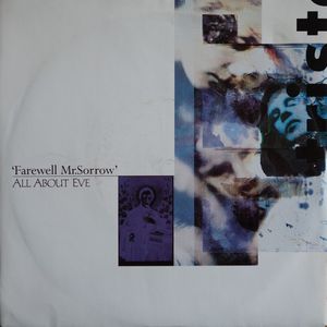 Farewell Mr. Sorrow cover