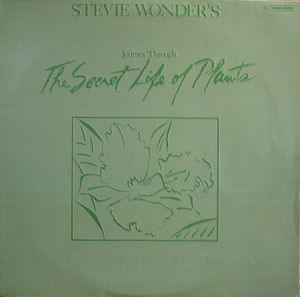 Stevie Wonder – Stevie Wonder’s Journey Through The Secret Life Of Plants