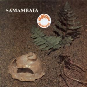 Nasceu Samambaia cover