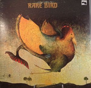 Rare Bird cover
