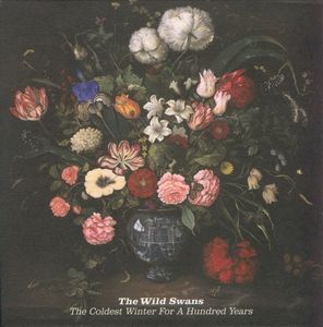 The Coldest Winter For A Hundred Years by The Wild Swans