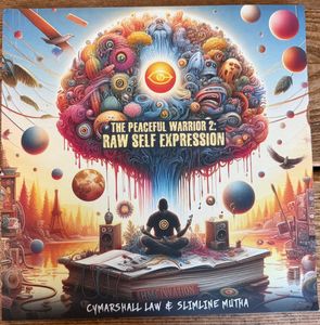 The Peaceful Warrior 2: Raw Self Expression cover