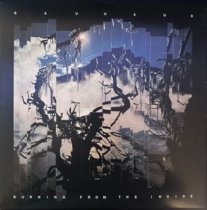 Burning From The Inside cover