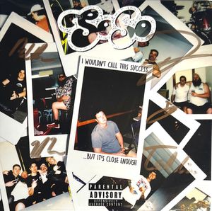 I Wouldn't Call This Success cover