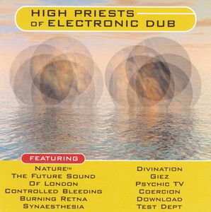 High Priests Of Electronic Dub cover