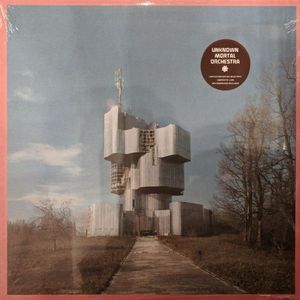 Unknown Mortal Orchestra cover