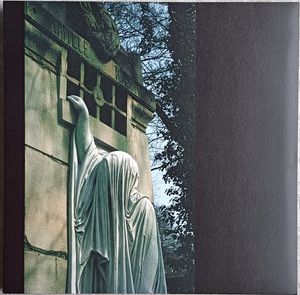 Within The Realm Of A Dying Sun cover