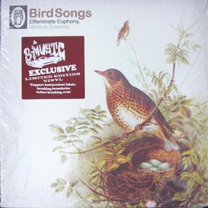Bird Songs by Various