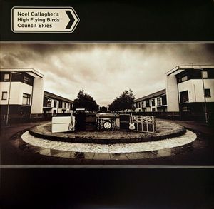 Council Skies  cover