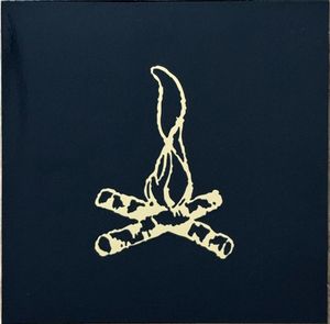 Campfire Punkrock Twenty cover