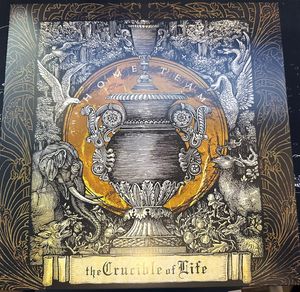 The Crucible of Life cover