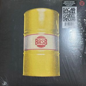 The Bacao Rhythm & Steel Band – BRSB
