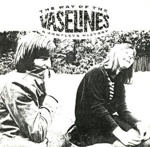 The Vaselines – The Way Of The Vaselines - A Complete History