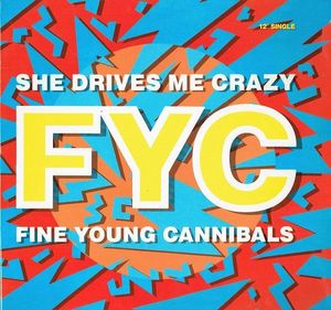 She Drives Me Crazy cover