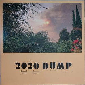 2020 DUMP cover