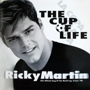 The Cup Of Life (The Official Song Of The World Cup, France '98) cover