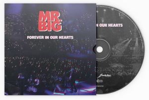 Forever In Our Hearts cover