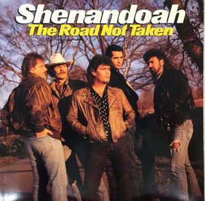 The Road Not Taken by Shenandoah