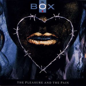 The Pleasure And The Pain by The Box