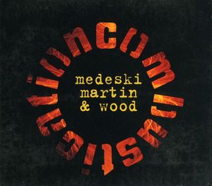 Combustication by Medeski Martin & Wood