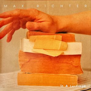 In A Landscape by Max Richter