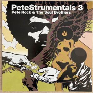 PeteStrumentals 3 cover