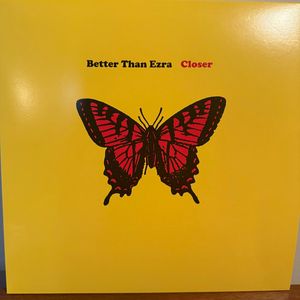 Closer cover