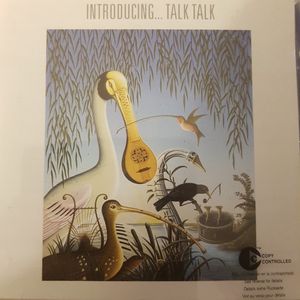 Talk Talk – Introducing...