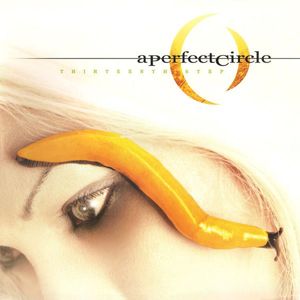 Thirteenth Step by A Perfect Circle