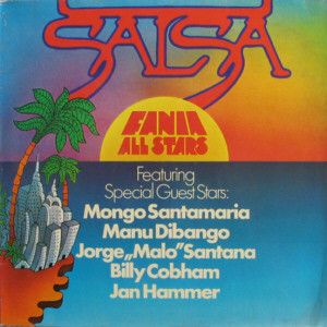 Salsa cover