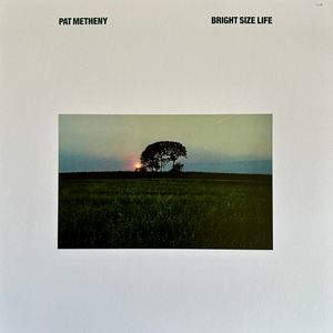 Bright Size Life cover