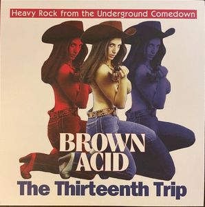 Brown Acid: The Thirteenth Trip (Heavy Rock From The Underground Comedown) cover