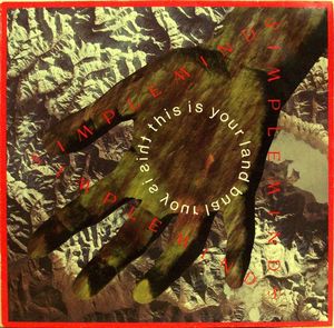 This Is Your Land cover