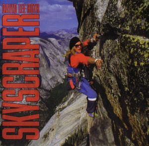 Skyscraper cover