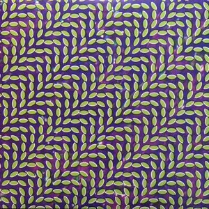 Merriweather Post Pavilion by Animal Collective