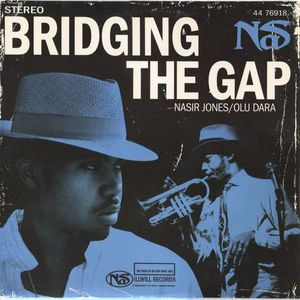 Bridging The Gap cover
