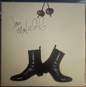 Fleetwood McNabb cover