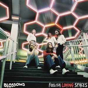 Foolish Loving Spaces cover